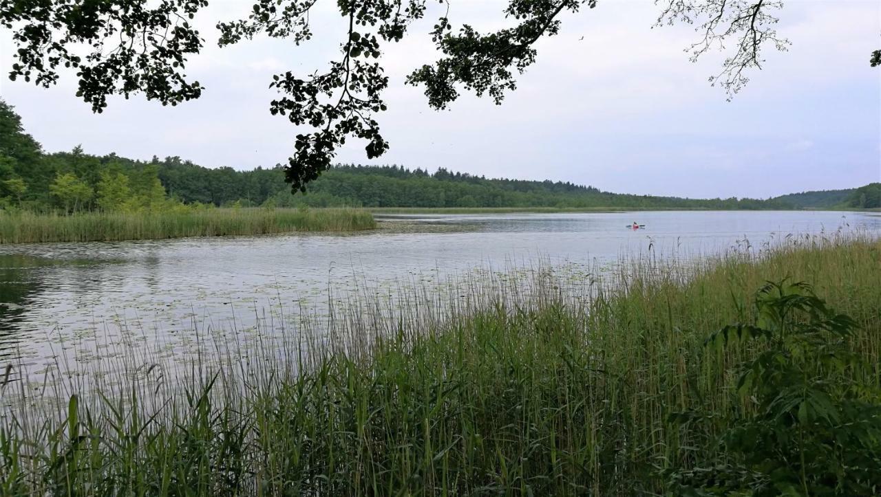Ferienhaus Dora Villa Rechlin Esterno foto